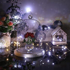 JUXYES Glass Display Dome Cloche with Wood Base, Clear Glass Dome Cloche Bell Sphere Jar Snow Globe Kit, Snowglobe Cloche Bell Jar Display for Fairy Light Plant Collectible Figures