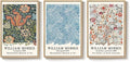 Framed William Morris Wall Art Set of 3, Large Vintage Floral Botanical Canvas Prints, Colorful Nature Artwork for Living Room, Bedroom, Hallway or Office Decor, Total Size 30x60 Inch
