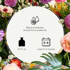 Apotheke Luxury Scented Oil Reed Diffuser Liquid Refill (Amber Woods) - Premium Home Fragrance Diffuser Refill Set with Sticks