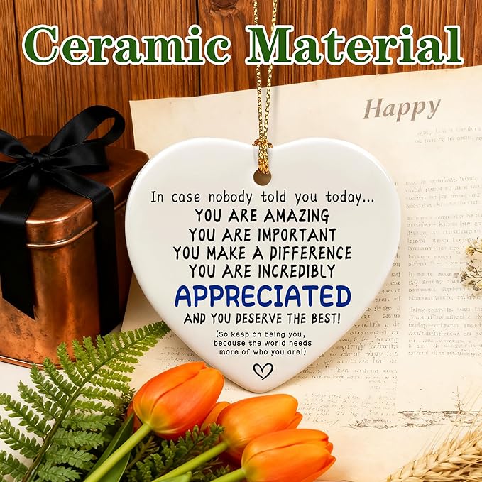 in Case Nobody Told You Today: You are Amazing, Important & Make a Difference - Affirmations Sign | Office Gift, Appreciation Gifts, Thank You Gifts, Going Away, Retirement Gift | Christmas Ornament