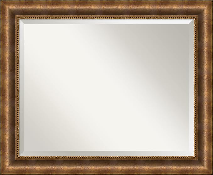 Amanti Art Bronze Wall Mirror 27x33 Manhattan Bronze Rectangle Bathroom Mirror for Wall Decor Living Room, Large Traditional Wood Frame, Hangs Horizonally and Vertically, Bathroom Decor, Beveled Edge