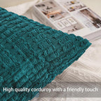 Aegero Pack of 2 Corduroy Decorative Throw Pillow Covers 18x18 Inch Soft Striped Pillow Covers Modern Farmhouse Home Decor for Sofa Living Room Couch Bed（Turquoise）