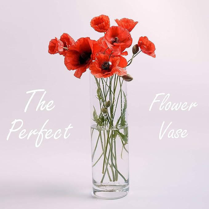 CYS Excel Glass Cylinder Vase (H:18" D:5") | Multiple Size Choices Glass Flower Vase Centerpieces | Hurricane Floating Candle Holder Vase