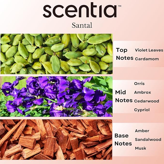Santal Diffuser Oil – Premium 20 ml Santal-Inspired Blend – Sandalwood, Amber, Musk, Cedar, Cardamom – Luxury Fragrance Oil for Ultrasonic & Waterless Diffusers – Made in USA, Thanksgiving Gift
