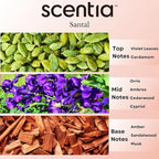 Santal Diffuser Oil – Premium 20 ml Santal-Inspired Blend – Sandalwood, Amber, Musk, Cedar, Cardamom – Luxury Fragrance Oil for Ultrasonic & Waterless Diffusers – Made in USA, Thanksgiving Gift