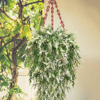 2 Pcs Artificial Lavender Teardrop Rattan, Spring Summer Front Door Hanging Floral Swags for Wall Basket Filler, Garden Home Easter Decoration-28.7in(White)