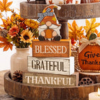 Lineshading 4 Pcs Wooden Farmhouse Tabletop Decor Rustic Home Tiered Tray Decor Decorative Farmhouse Table Decoration Home Block Signs Gift(Blessed Gnome)