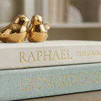 Upgraded Decorative Books for Home Decor - Coffee Table Faux Books for Decoration, Linen Fake Book Storage Box for Entryway, Bookshelf, Modern, Boho, Farmhouse & Neutral Aesthetic Decor, Set of 2