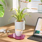 Acrylic Coaster Decorative Plates, Irregular Bar Drink Coaster,Perfect for Tabletop Protection and Accessories Display.