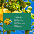 Aera Mini Home Hygiene Linen and Lemon - Essential Oil for Home – Citrus and Clean Laundry Fragrance - Notes of Lemon Peel, Copaiba and Pine - Scent Refill - Capsule Size Works with Mini Diffuser