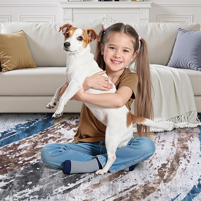 Ciicool Abstract Area Rug Indoor, 3x5 Washable Entryway Rug, Modern Throw Entry Rug with Non-Slip Backing for Bedroom Living Room Entrance Kitchen, Low-Pile Floor Carpet Doormat Grey Brown Yellow