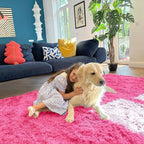 OLANLY 5x8 Machine Washable Large Area Rugs for Living Room, Bedroom, Soft Fluffy Shaggy Bedside Rug, Indoor Floor Carpet for Kids Girls and Boys, Dorms, Nursery, Home Decor Aesthetic, Hot Pink