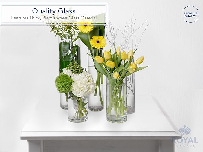 Royal Imports Flower Glass Vase Decorative Centerpiece for Home or Wedding - Cylinder Shape (8" Wide x 8" Tall, Clear)