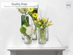 Royal Imports Flower Glass Vase Decorative Centerpiece for Home or Wedding - Cylinder Shape (8" Wide x 8" Tall, Clear)