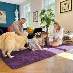 OLANLY 8x10 Machine Washable Large Area Rugs for Living Room, Bedroom, Soft Fluffy Shaggy Bedside Rug, Indoor Floor Carpet for Kids Girls and Boys, Dorms, Home Decor Aesthetic, Dark Purple
