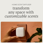 Drift on Amazon Home Diffuser Starter Kit - Apple Picking