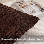 Aegero Pack of 2 Corduroy Decorative Throw Pillow Covers 16x16 Inch Soft Striped Pillow Covers Modern Farmhouse Home Decor for Sofa Living Room Couch Bed（Dark Brown）