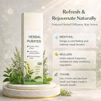 Mullein Herbal Diffuser Pen – Smokeless with Mullein Thyme & Mint – Flavored Air Freshener, 2 Sticks Vaporless