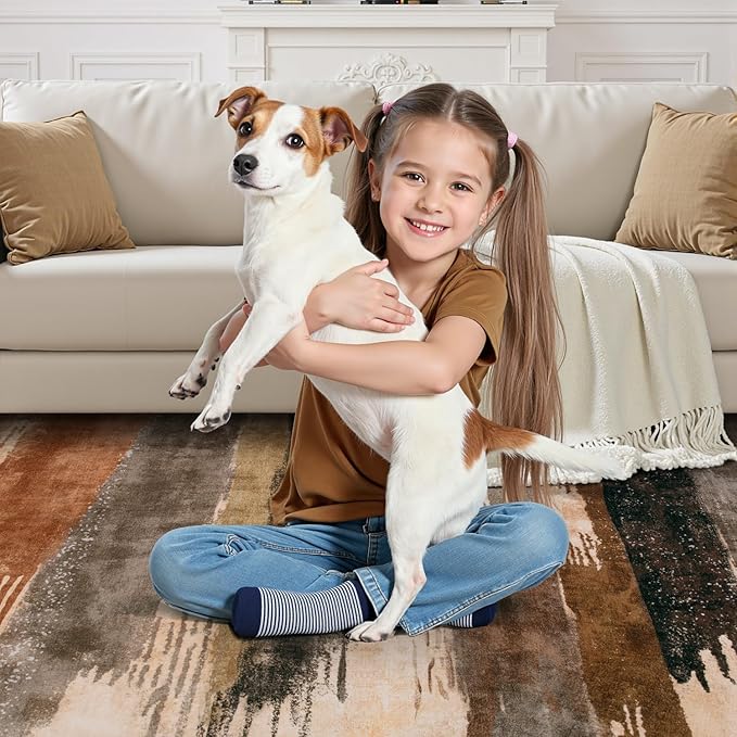 Ciicool Modern Abstract Brown Grey Rug for Living Room, 6'x9' Machine Washable Area Rug Non-Slip Rug, Low-Pile Contemporary Indoor Dining Floor Carpet for Bedroom Office Under Table Home Decor