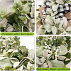 Lambs Ear Eucalyptus Front Door Wreath Year Round, 20" Handmade Green Farmhouse Spring Summer Wreath for Porch Wall Outdoor Indoor Home Decorations