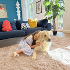 OLANLY 4x8 Area Rugs for Living Room Bedroom, Machine Washable Soft Fluffy Shaggy Bedside Rug, Indoor Floor Carpet for Kids Girls and Boys, Dorms, Nursery Rooms, Home Decor Aesthetic, Beige