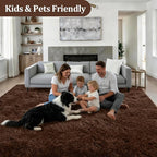 Fluffy 4x6 Area Rugs for Living Room Bedroom: Ultra Soft Shag Rug Non-Slip Non-Shedding Small Plush Bedside Rug Indoor Floor Carpets for Kids Room Playroom Entryway Nursery Dorms Home Decor Brown