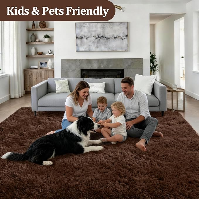 Fluffy 4x6 Area Rugs for Living Room Bedroom: Ultra Soft Shag Rug Non-Slip Non-Shedding Small Plush Bedside Rug Indoor Floor Carpets for Kids Room Playroom Entryway Nursery Dorms Home Decor Brown