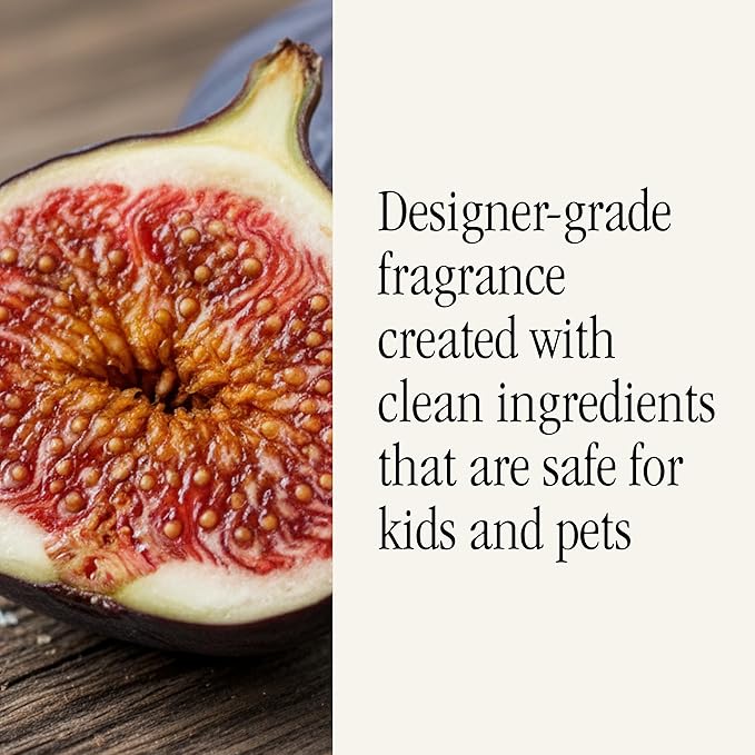 Pura x Studio McGee Home Scent Refill - Smart Air Diffuser - Long-Lasting Luxury Fragrance per Refill - Home Essential - Clean & Safe Diffuser Fragrance - 2 Pack, Violet Fig