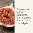 Pura x Studio McGee Home Scent Refill - Smart Air Diffuser - Long-Lasting Luxury Fragrance per Refill - Home Essential - Clean & Safe Diffuser Fragrance - 2 Pack, Violet Fig