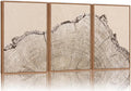 SIGNINART Large Tree Ring Framed Canvas Wall Art Set, Rustic Beige Nature Wooden Wall Decor, Neutral Wood Stump Artwork, Modern Art Prints for Bedroom Living Room Office 16"x24"x3