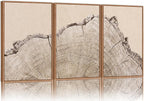 SIGNINART Large Tree Ring Framed Canvas Wall Art Set, Rustic Beige Nature Wooden Wall Decor, Neutral Wood Stump Artwork, Modern Art Prints for Bedroom Living Room Office 24"x36"x3