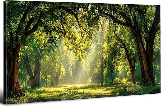 Green Forest Wall Art Panoramic Woodland Landscape Canvas Pictures Nature Wall Decor Sunrise Sunlight Trees Scenery Poster Living Room Bedroom Office Hallway Cabin Lodge Home Decoration 29.53x 57.87"