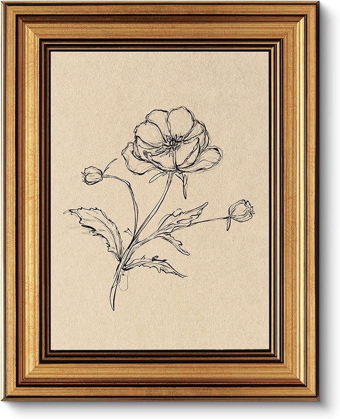 VIYYIEA Vintage Gold Framed Wall Art for Living Room, Poppy Canvas Prints Home Decor, Sketch Painting Picture, Bedroom Wall Decor Gifts for Friends or Family -【Poppy】-(10L x 8W)