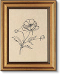 VIYYIEA Vintage Gold Framed Wall Art for Living Room, Poppy Canvas Prints Home Decor, Sketch Painting Picture, Bedroom Wall Decor Gifts for Friends or Family -【Poppy】-(10L x 8W)
