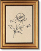 VIYYIEA Vintage Gold Framed Wall Art for Living Room, Poppy Canvas Prints Home Decor, Sketch Painting Picture, Bedroom Wall Decor Gifts for Friends or Family -【Poppy】-(10L x 8W)