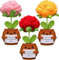Wavwavw 3 Pack Teacher Appreciation Gift Positive Flower Handmade Crochet Doll Thank You for Helping Me Grow Gifts Back to School Gifts for Women Teacher(Rose Flower)
