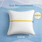 AM AEROMAX 22 ×22 Throw Pillow Memory Foam Pillow Insert - Square Accent Pillow for Decorative Cushion Bed Couch Sofa - Non-Deforming Over Time