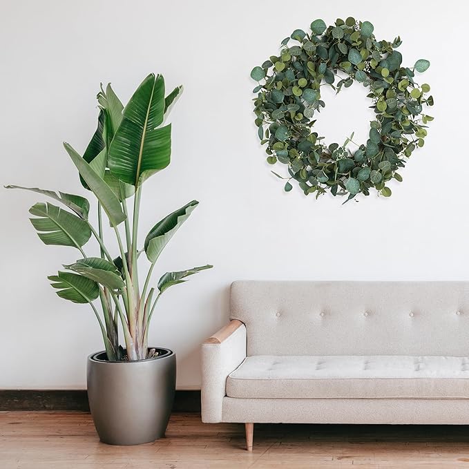 Olive Wreath for Front Door 26 inch, Greenery All Season Wreath with Olive Leaf Fruit, Home Decoration for Outdoor Living Room Indoor Wall and Outside Summer All Season Wedding