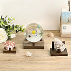 Hipiwe Rock Display Stand Three-Peg Display Easel Stands Walnut Wooden Crystal Rock Holder for Fossil Coral Geodes Rock Mineral Agate, Crystal Display Stand with Square Base, Large