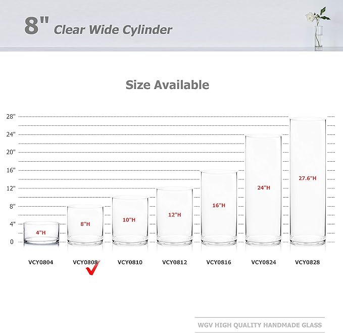 WGV Cylinder Vase, Width 8", Height 8", Clear Wide Large Diameter Flower Glassware, Floral Container, Planter Terrarium for Wedding Party Event, Home Accent Decor, 1 Piece