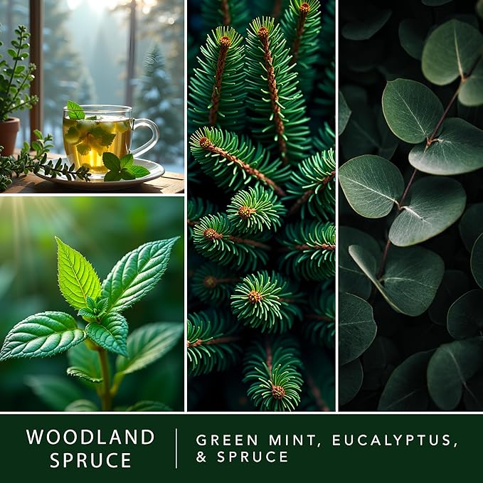 Scentsationals Woodland Spruce Scented Wax Melts - Amber Birch, Eucalyptus, & Sage, 10oz (24 Cubes)