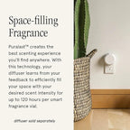 Pura & Unify Co. Home Scent Refill - Smart Home Air Diffuser - Long-Lasting Luxury Fragrance per Refill - Spring & Summer Fragrance - 2 Pack, Sun