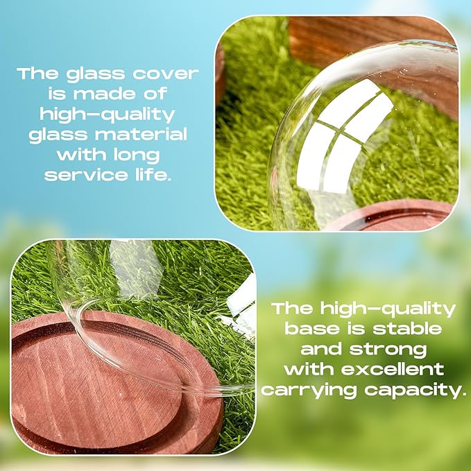 Tuanse 4 Pieces Glass Dome Display Showcase Glass Globe and Display Dome with Wood Base DIY Craft Keepsake Globe Case Gifts for Women Wedding Tabletop Centerpiece Decoration(Brown)