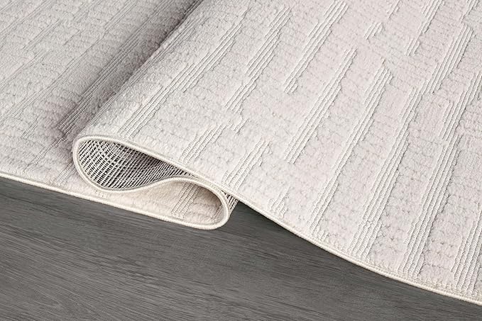 Modern Micro Loop Indoor Area Rugs for Living Room Bedroom Kitchen Geometric Pebble White 4x6 Luxury Durable Low and High Pile Non-Shedding Stain Resistant Soft Area Carpet 4 x 6