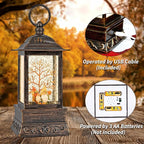Fall Snow Globe Decorations, Glitter Gnome Lantern with 6H Timer, USB/Battery Powered Lighted Décor for Home, Tabletop, Gift Box