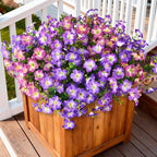 INQCMY Artificial Fake Flowers for Outdoor Spring Decoration,12 Bundles Faux Silk Colorful Morning Glory with Eucalyptus UV Resistant Realistic Fake Plants for Outside Planter Porch Patio Yard Garden