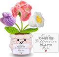 Teacher Appreciation Gifts, Thank You Teachers Gift, End of Year Teacher Gifts, Graduation Birthday Retirement Gift for Teachers Mentor Coworker Boss, Cute Handmade Crochet Carnations 3 Flowers Doll