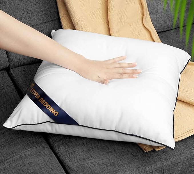 Utopia Bedding Throw Pillow Inserts (Pack of 2, White), 24 x 24 Inches Decorative Indoor Pillows for Sofa, Bed, Couch, Cushion Sham Stuffer