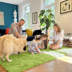 OLANLY 2x3 Machine Washable Small Bedside Rug, Soft Fluffy Shaggy Entryway Throw Rugs for Bedroom, Living Room, Indoor Floor Carpet for Kids Girl Boy, Nursery Rooms, Home Decor Aesthetic, Grass Green