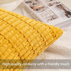 Aegero Pack of 2 Corduroy Decorative Throw Pillow Covers 22x22 Inch Soft Striped Pillow Covers Modern Farmhouse Home Decor for Sofa Living Room Couch Bed（Yellow）